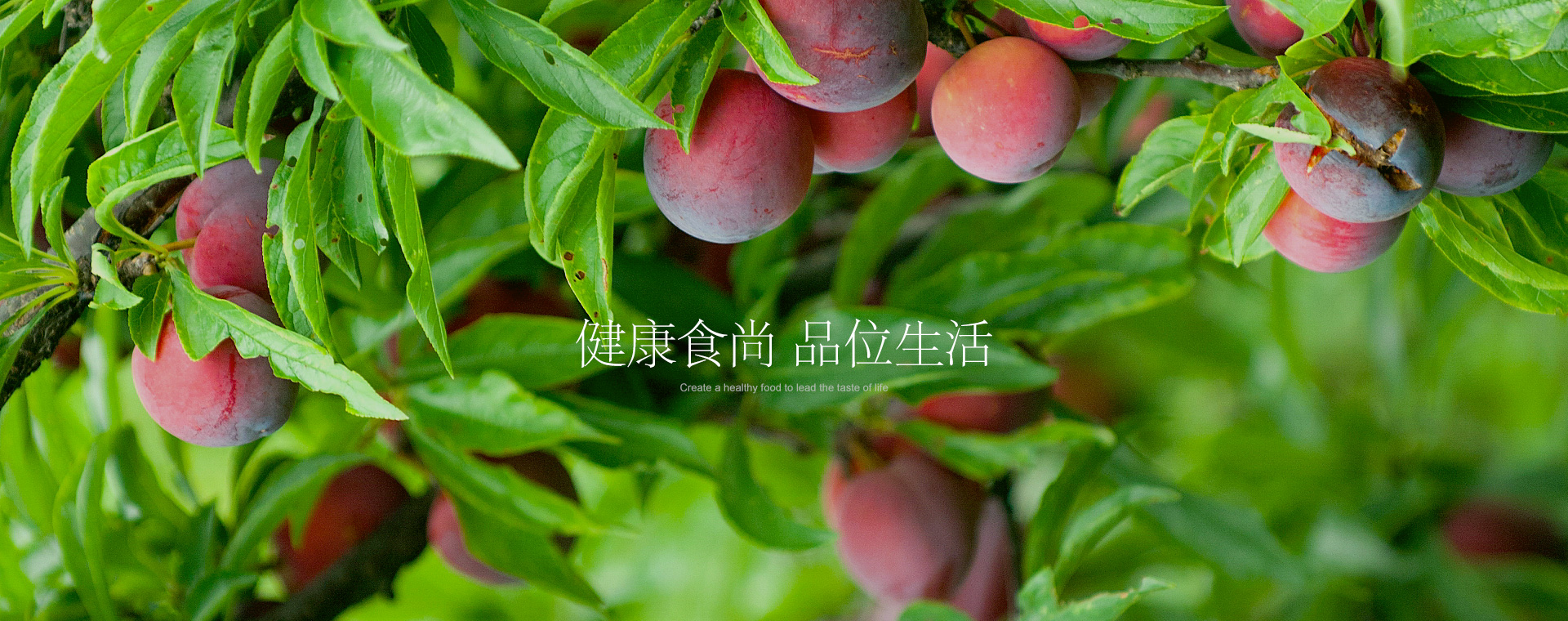 token.im钱包-imtoken官网-imtoken官网下载安卓版